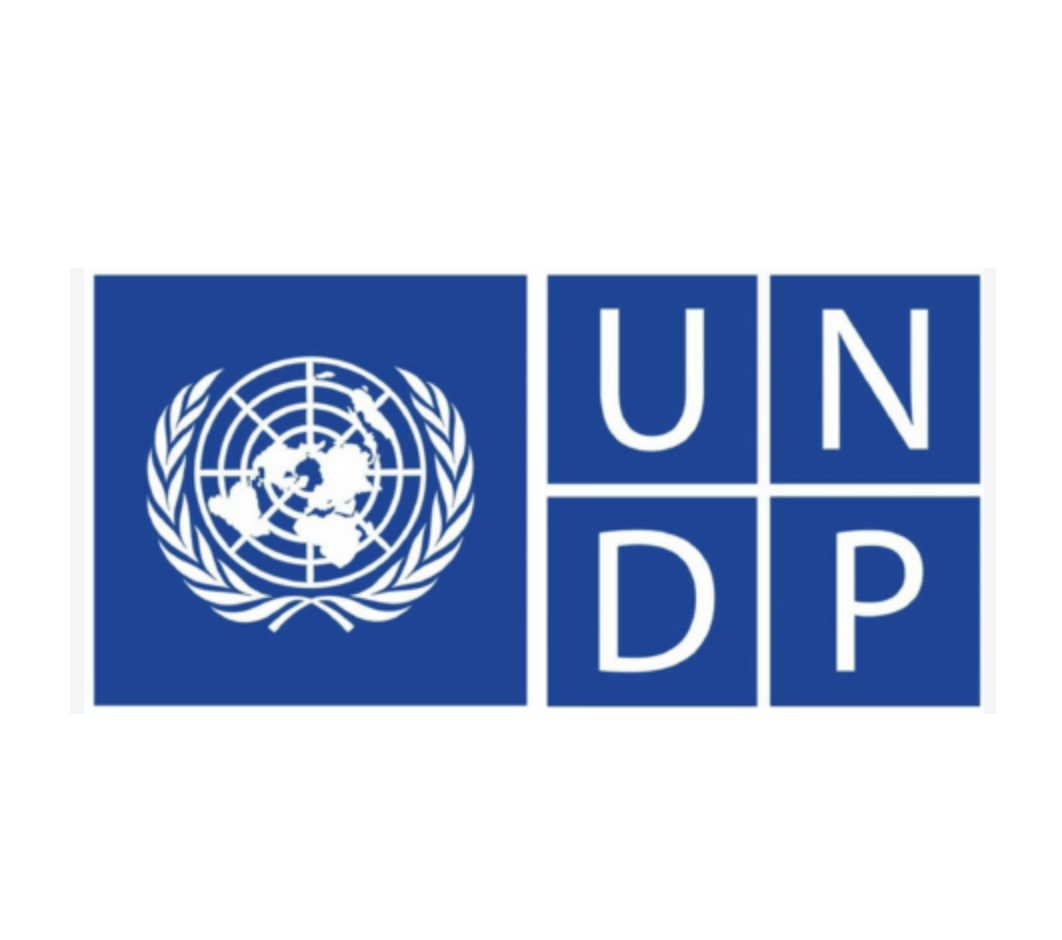 UNDP